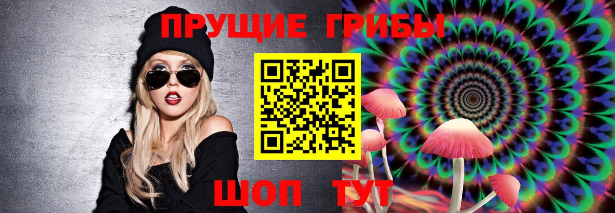 Псилоцибиновые грибы прущие грибы Великий Устюг